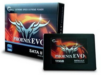 SSD G. Skill  phoenix EVO